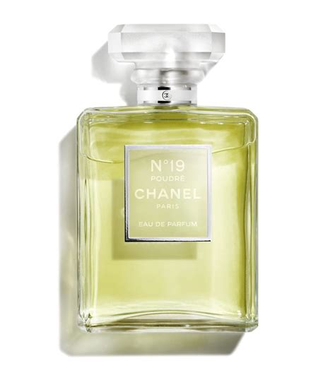 chanel n19 poudre perfume|chanel no 19 parfum discontinued.